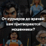 IMG_4442.png - Фурмановский район