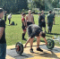 ️9 августа на городском стадионе прошла яркая культурно-спортивная программа, посвящённая Дню физкультурника и 80-ой годовщине Победы в Великой Отечественной войне. - Фурмановский район