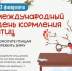 3 февраля - Международный день кормления птиц - Центр соцобслуживания